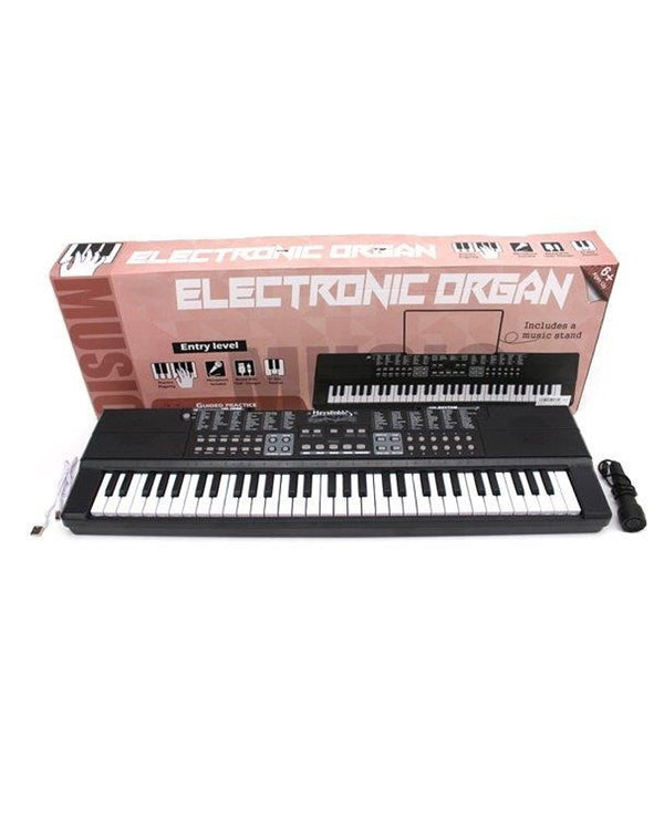 Toy Piano Electronic Organ