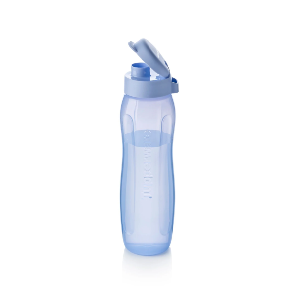 Eco Bottle 750 Ml | Purple