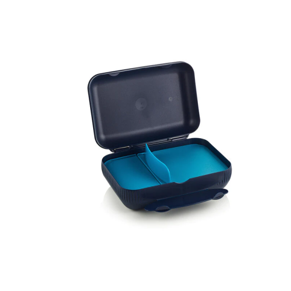 Tupperware Divided Lunch Box | Blue