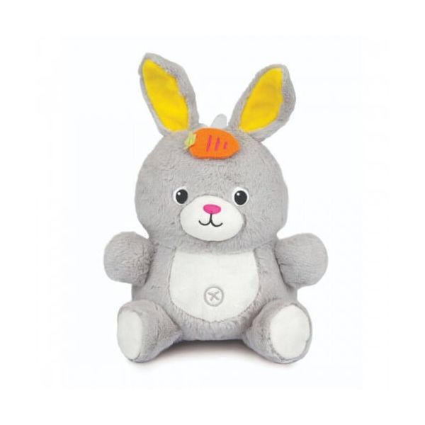 Winfun Play With Me Dance Pal Bunny | Grey