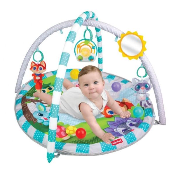 Winfun Playspace Play Gym And Ball Pit