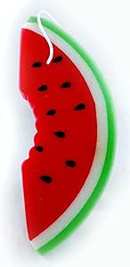 Safari Watermelon Baby Sponge