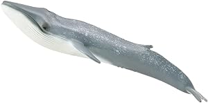 Collecta Minke Whale