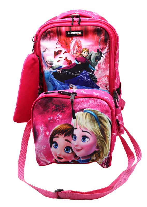 School backpack with lunch bag Size 17 model 26 Frozen pink