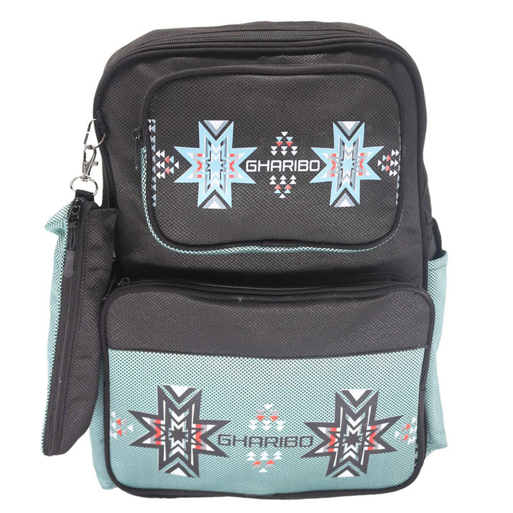 School backpack model 22 Star green