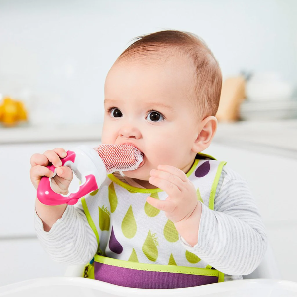 Food Feeder - Raspberry