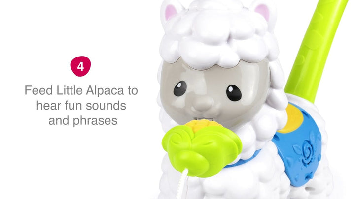 WinFun Push - Along Little Alpaca Toy